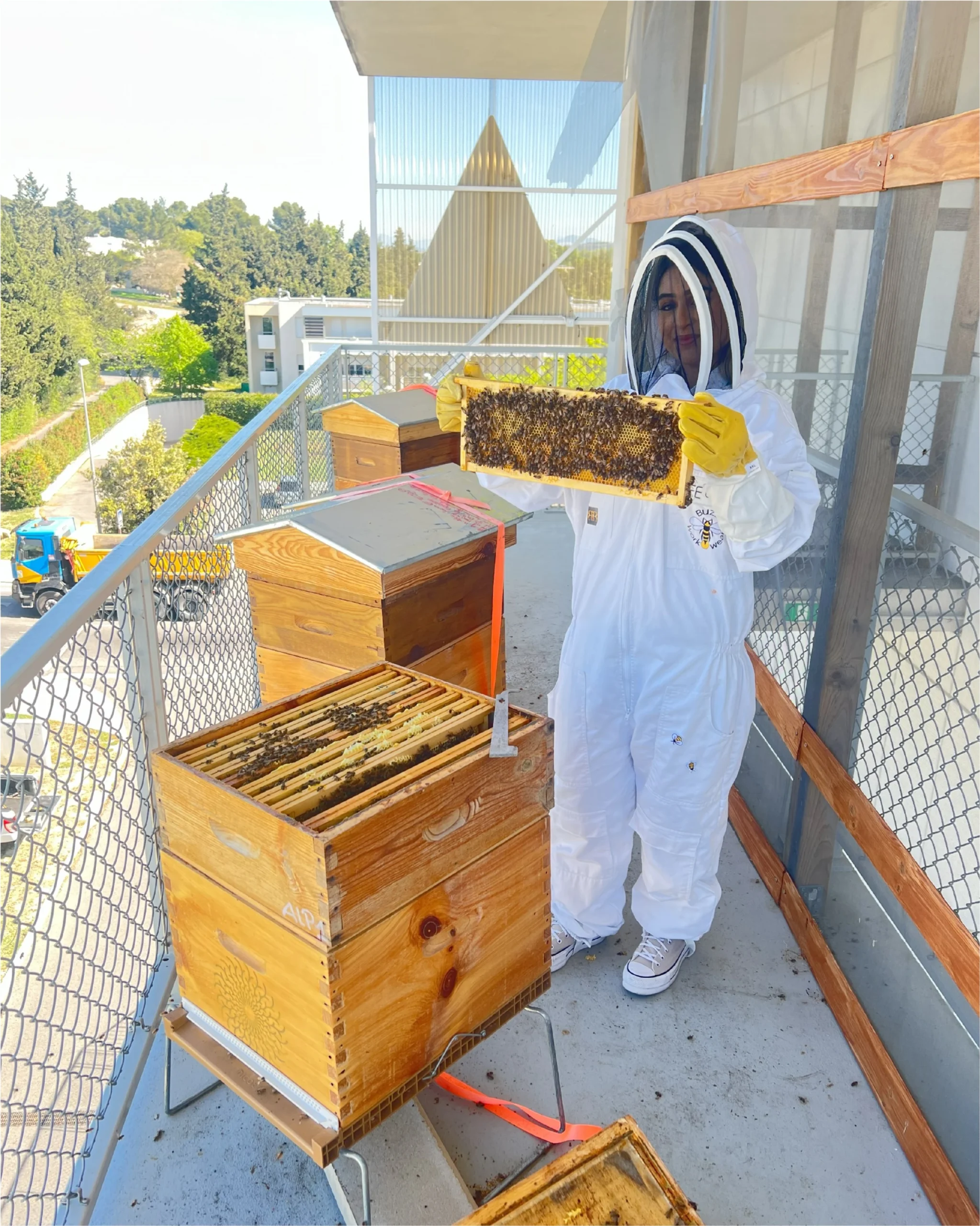 RSE_ISO-26000_Apiculture-Urbaine_abeilles -en-entreprises