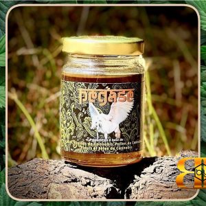 PEGASE (Miel au CBD) - 100g - 100g
