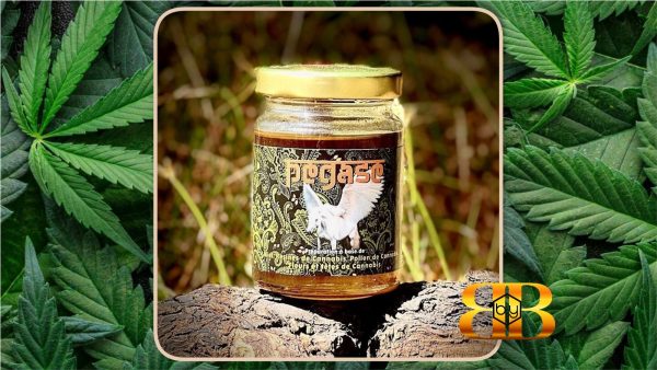 PEGASE (Miel au CBD) - 100g