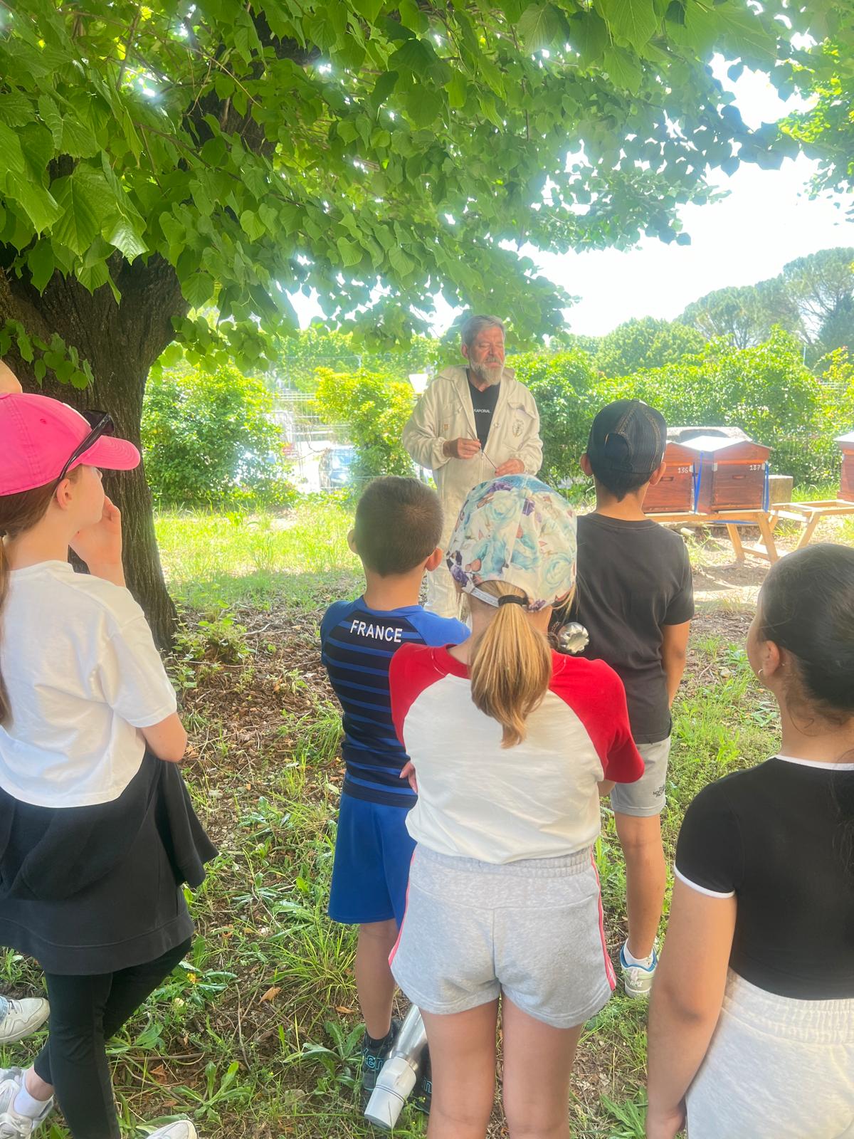 Découverte_élèves_Ruches_Abeilles